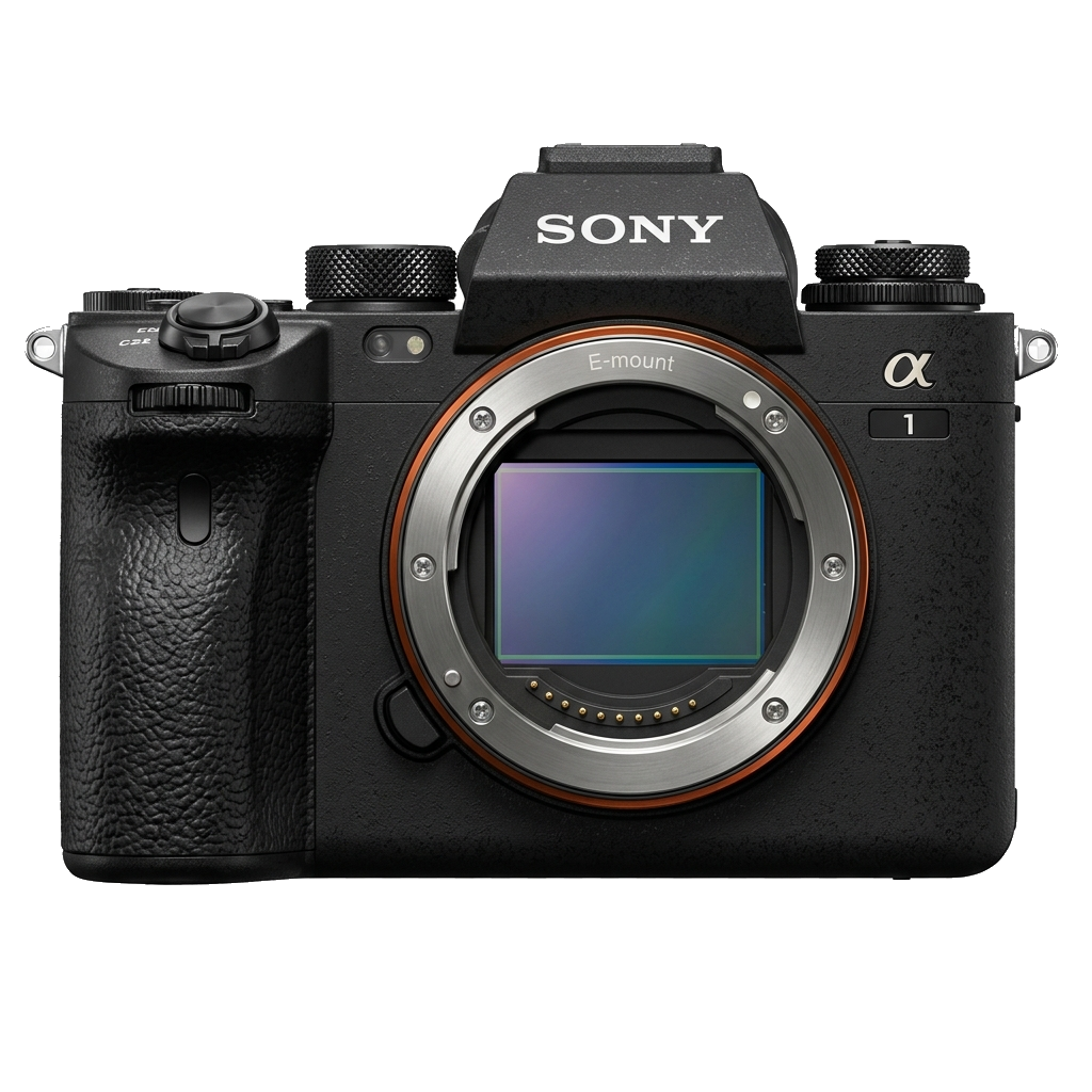 Camera Body